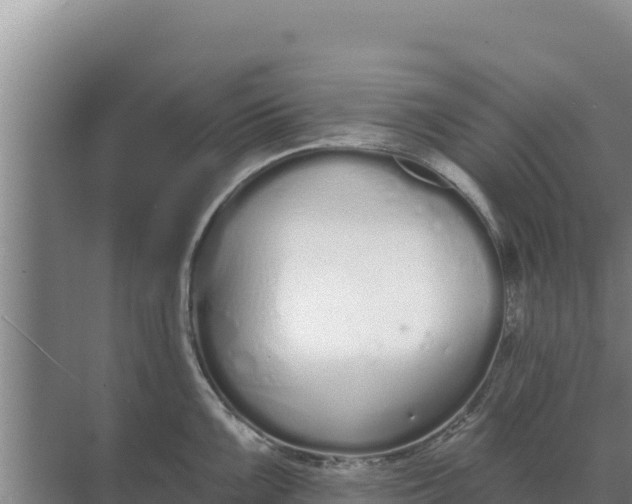 X0000071771099200607150022