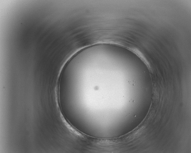 X0000071771100200607150022