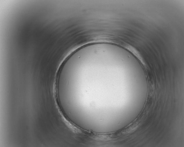 X0000071771101200607150022