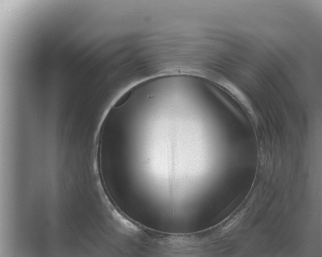 X0000071771102200607150022