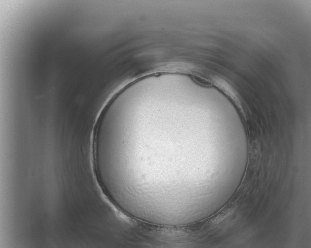 X0000071771103200607150022