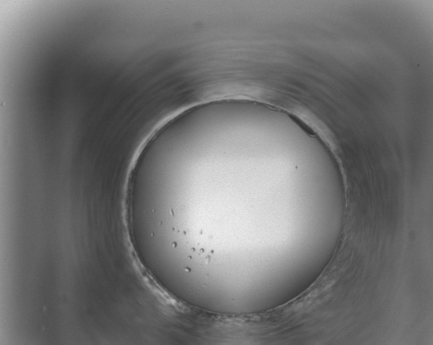 X0000071771104200607150022