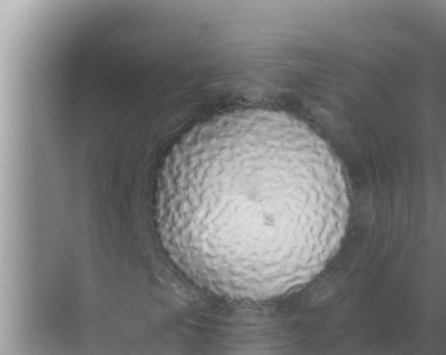 X0000071771105200607150021