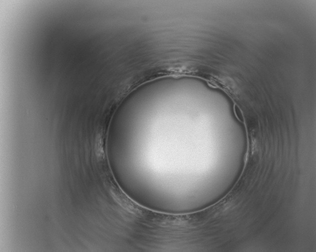 X0000071771106200607150021