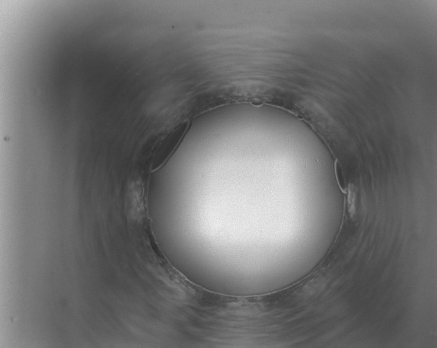 X0000071771107200607150021