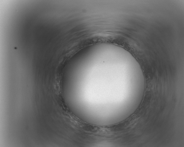 X0000071771109200607150021