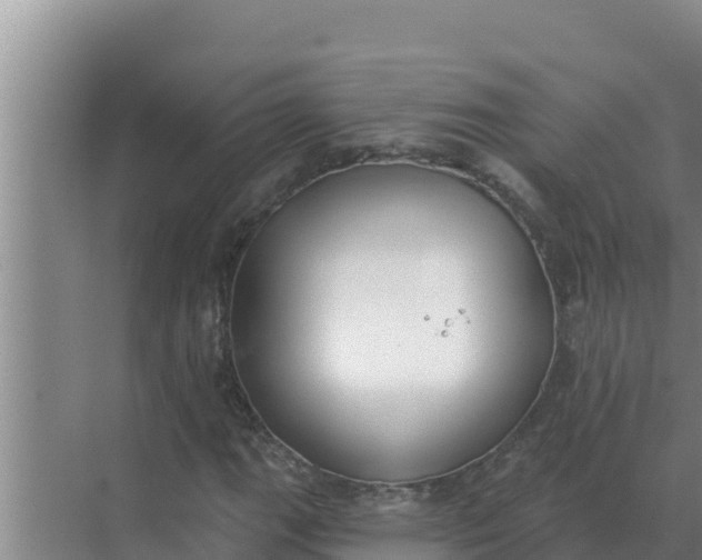 X0000071771111200607150021