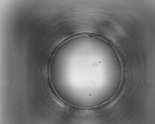 X0000071771113200607150021