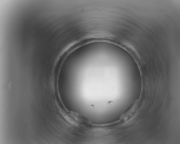 X0000071771114200607150021