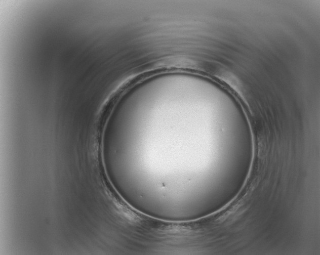 X0000071771115200607150021