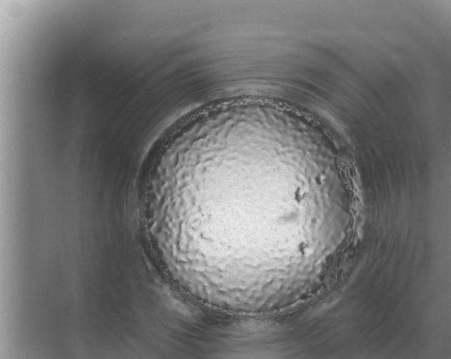 X0000071771117200607150021