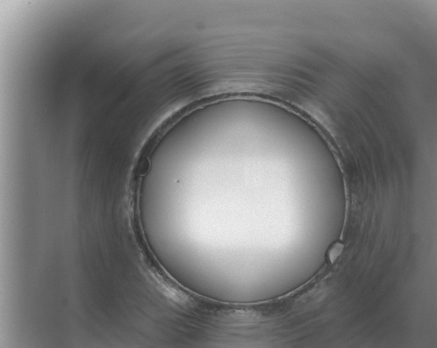 X0000071771119200607150021