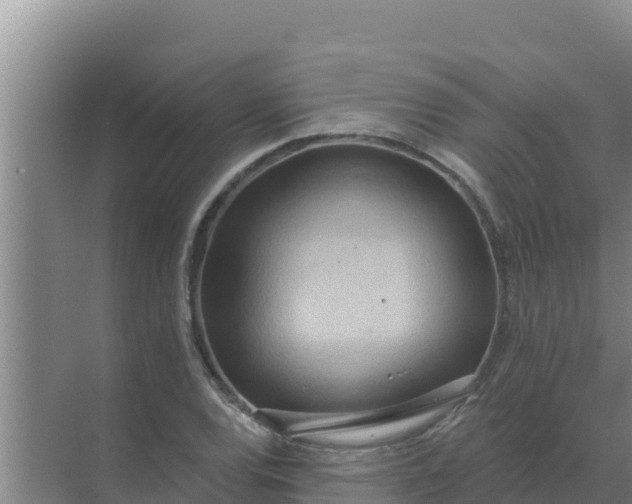 X0000071771120200607150021