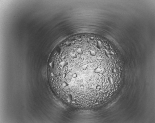 X0000071771121200607150021