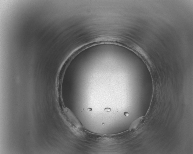 X0000071771124200607150021