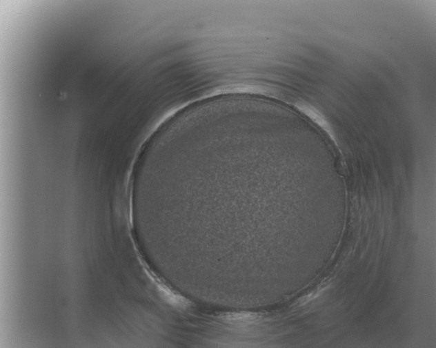 X0000071771127200607150021