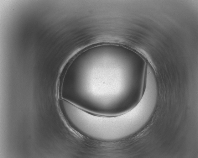 X0000071771128200607150021