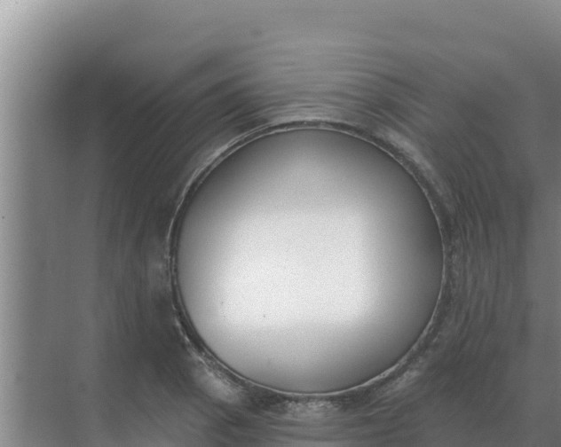 X0000071771129200607150021