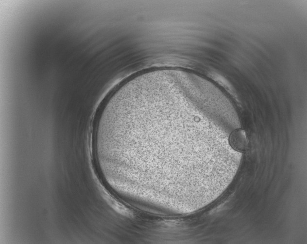 X0000071771130200607150021