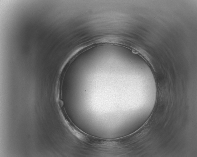 X0000071771131200607150021