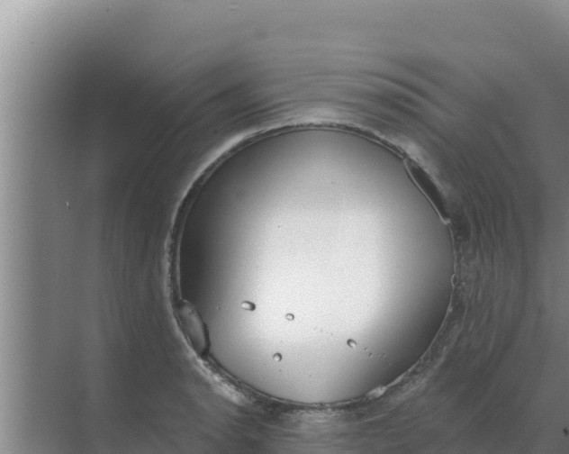 X0000071771134200607150021