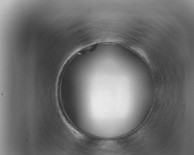 X0000071771135200607150021