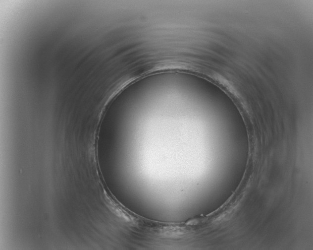 X0000071771137200607150021