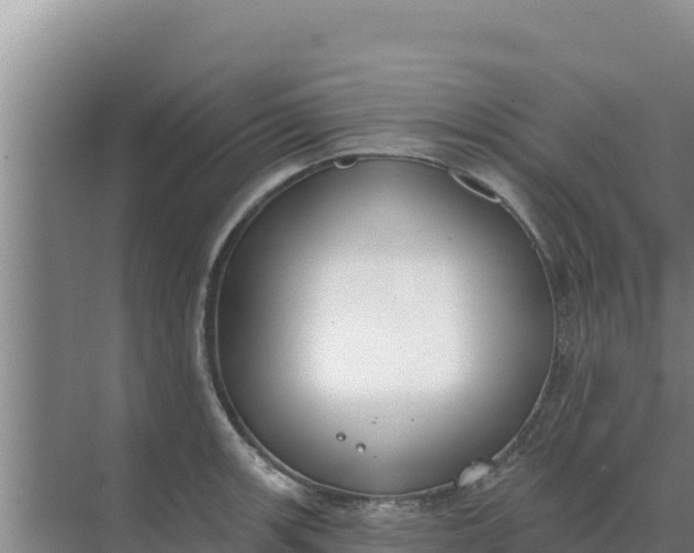 X0000071771139200607150021