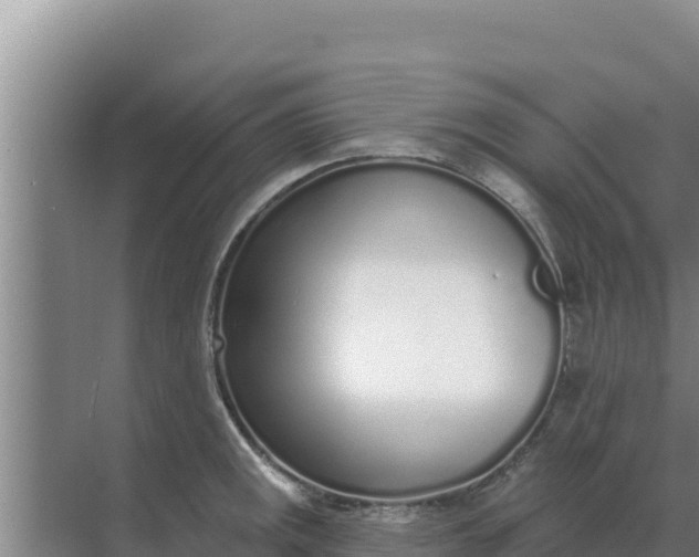 X0000071771141200607150021