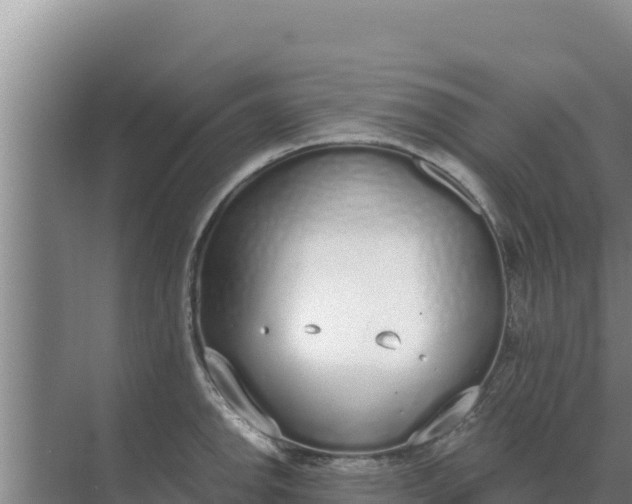 X0000071771142200607150021