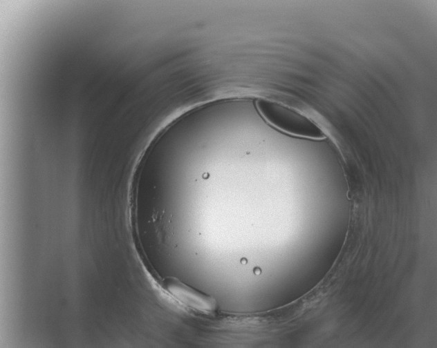 X0000071771143200607150021