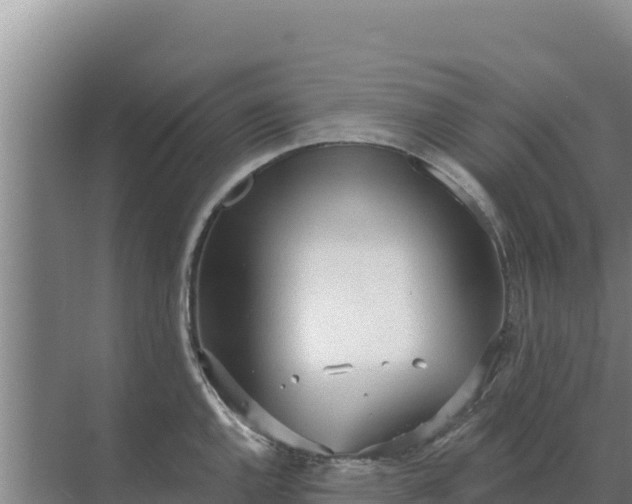 X0000071771144200607150021