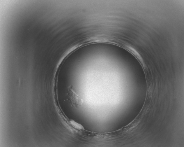 X0000071771146200607150021