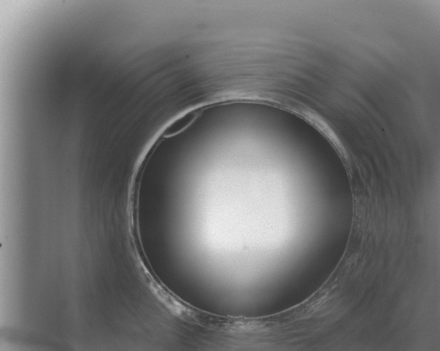 X0000071771148200607150022