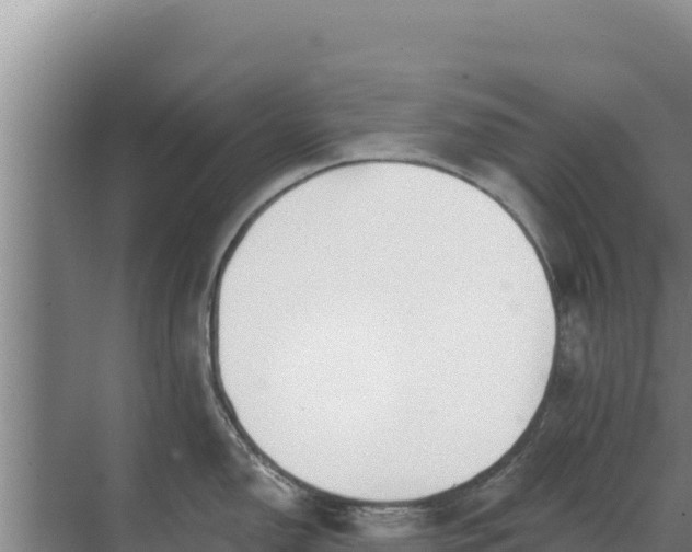 X0000071771150200607150022