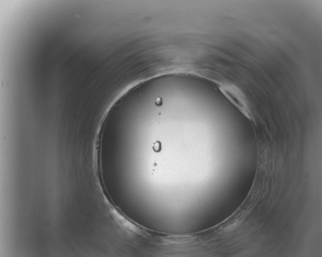 X0000071771151200607150022