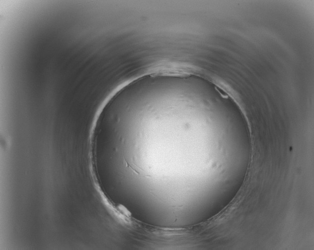 X0000071771152200607150022