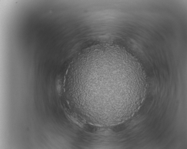 X0000071771154200607150021