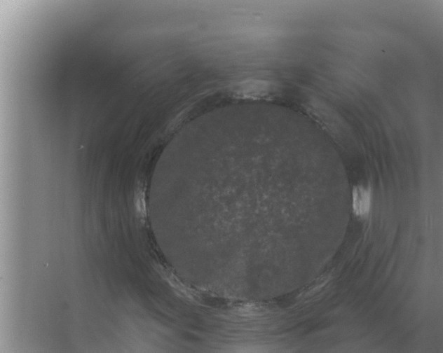 X0000071771155200607150021