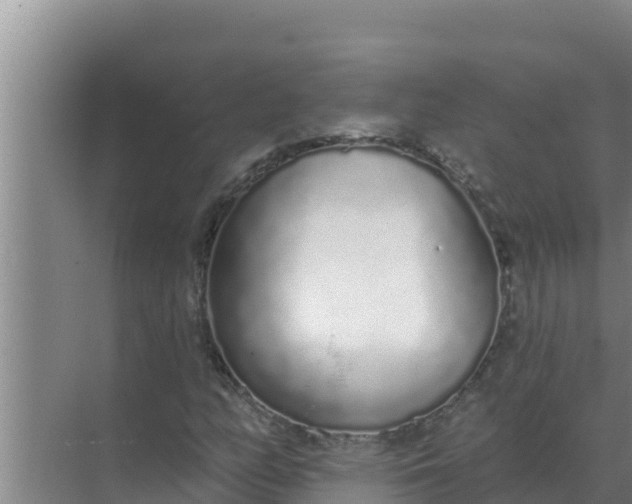 X0000071771158200607150021