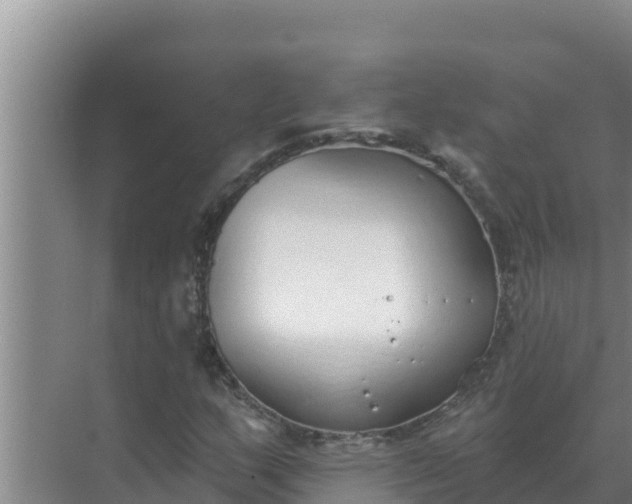 X0000071771159200607150021