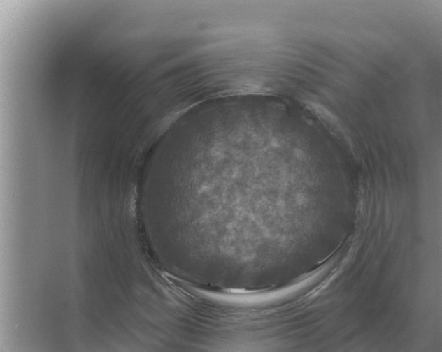 X0000071771161200607150021