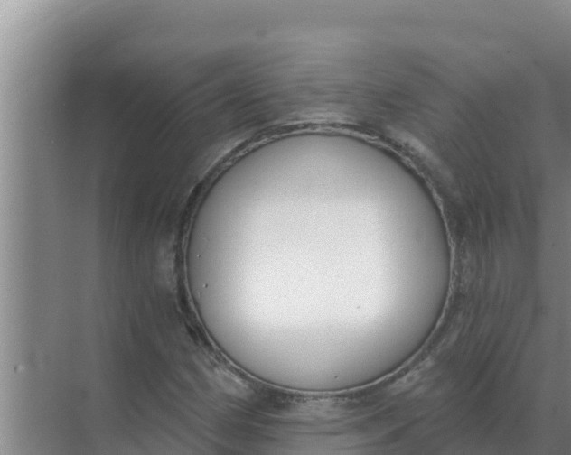 X0000071771162200607150021