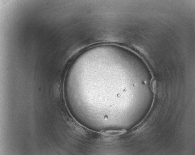 X0000071771163200607150021