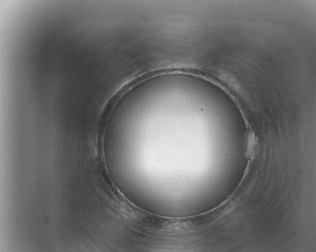 X0000071771165200607150021