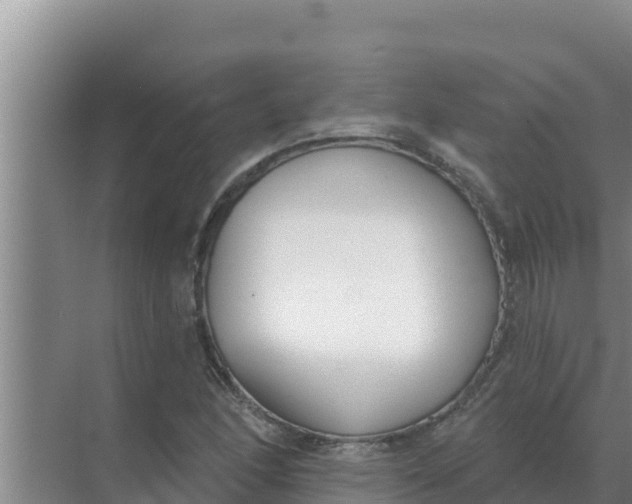 X0000071771166200607150021