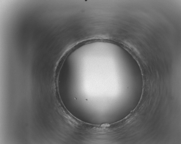 X0000071771168200607150021