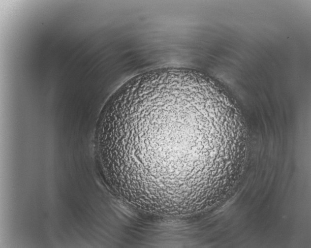 X0000071771170200607150020