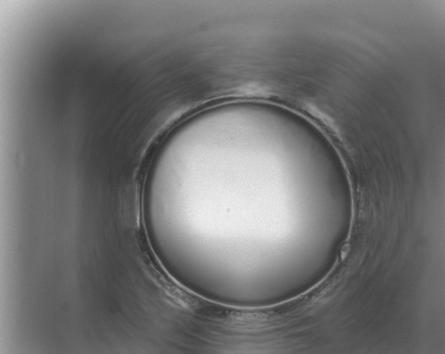 X0000071771171200607150020