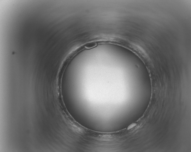 X0000071771172200607150020